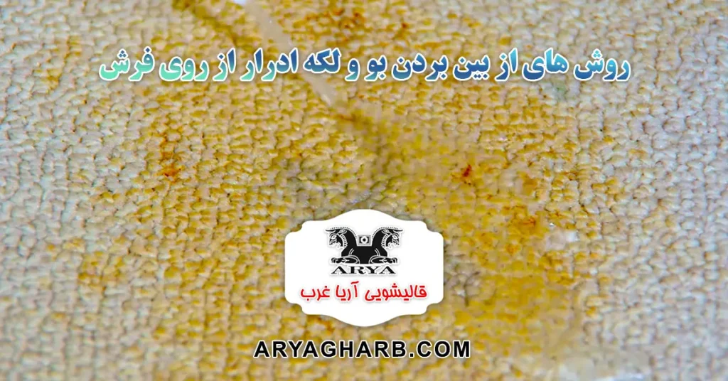 روش های از بین بردن بو و لکه ادرار از روی فرش