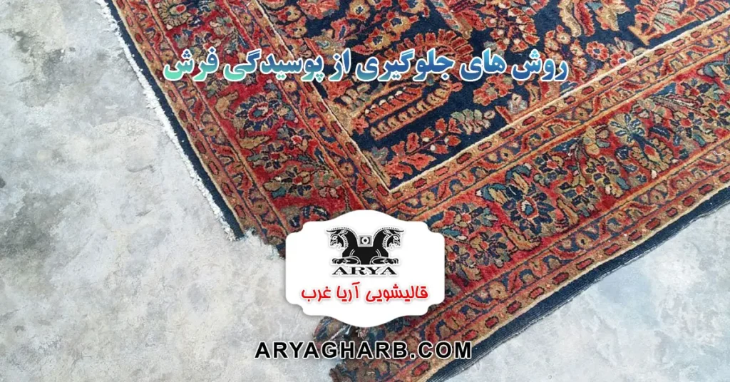 روش های جلوگیری از پوسیدگی فرش