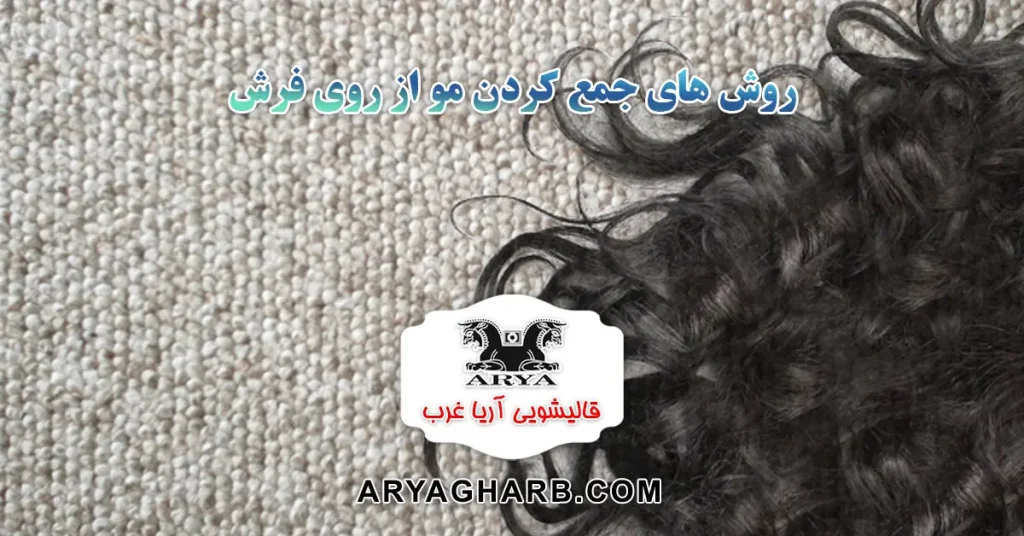 روش های جمع کردن مو از روی فرش