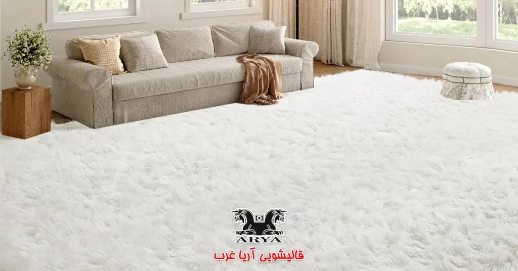 پرهیز از راه رفتن با کفش بر روی فرش سفید و روشن